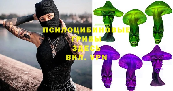 мдпв Богданович