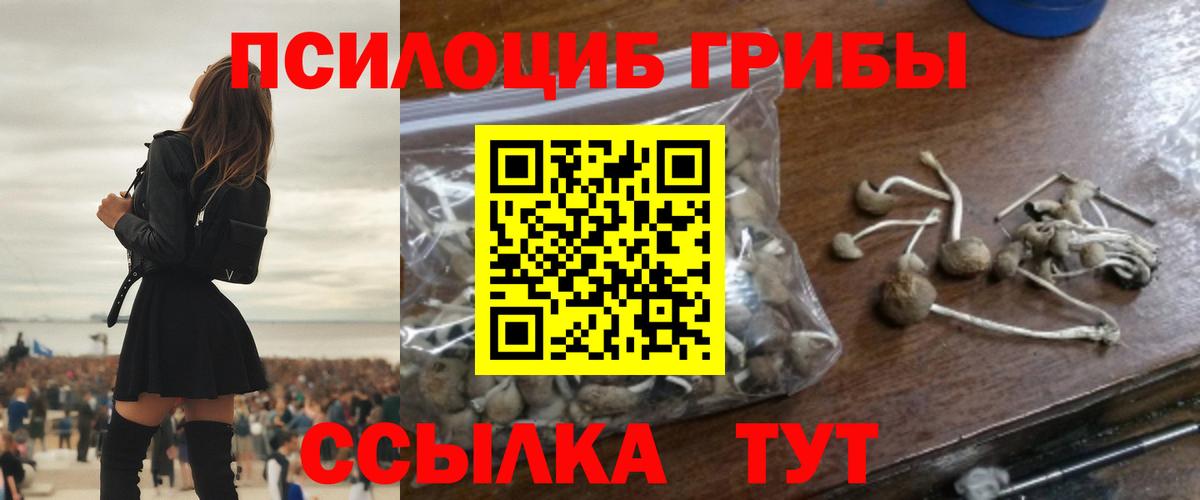 Малоярославец  Псилоцибиновые грибы MAGIC MUSHROOMS  Вход с VPN 